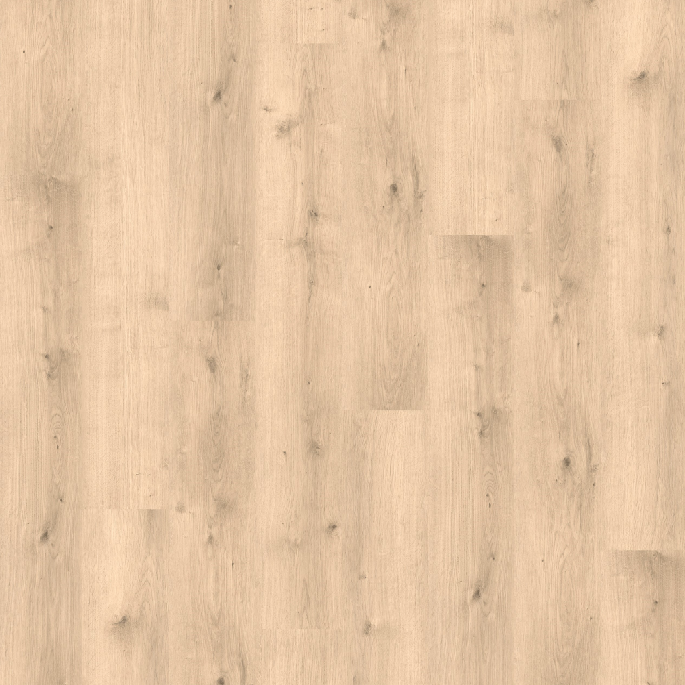 D11- Let's Go Picnic