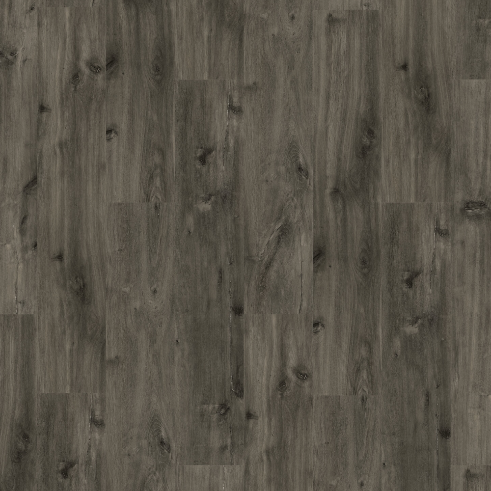 Polished Gray