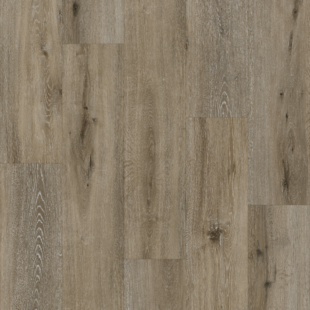 Q12 - Quercia